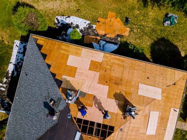 Best Roof Waterproofing Services  in Bayou Gauche, LA